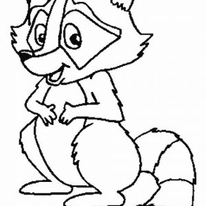 Free Raccoon Coloring Pages to Print   33958
