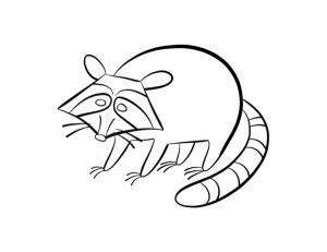 Free Raccoon Coloring Pages to Print   62617