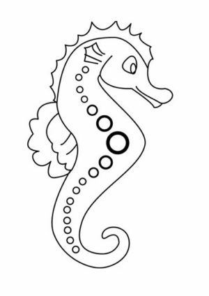 Free Seahorse Coloring Pages   42893