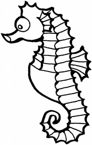 Free Seahorse Coloring Pages   92143