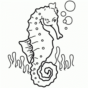 Free Seahorse Coloring Pages to Print   77417