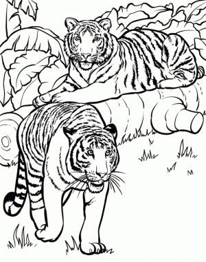 Free Simple Animals Coloring Pages for Children   CM3XV