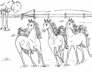 Free Simple Horses Coloring Pages for Children   t6gbg