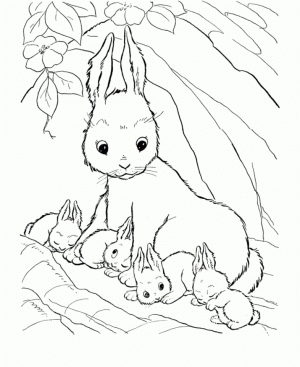 Free Simple Rabbit Coloring Pages for Children   CM3XV