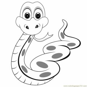 Free Snake Coloring Pages to Print   62617