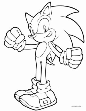 Free Sonic Coloring Pages   623671