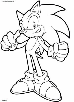 Free Sonic Coloring Pages   706096