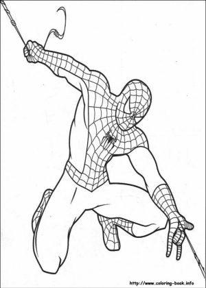 Free Spiderman Coloring Pages   119152