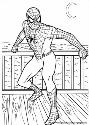 Free Spiderman Coloring Pages   467388