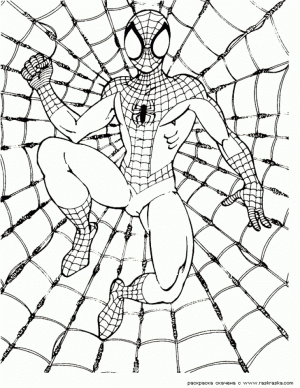 Free Spiderman Coloring Pages   492359