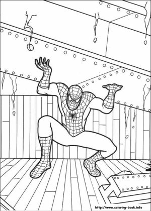 Free Spiderman Coloring Pages   623674
