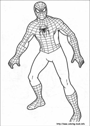 Free Spiderman Coloring Pages   706099