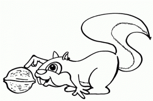 Free Squirrel Coloring Pages for Toddlers   p97hr