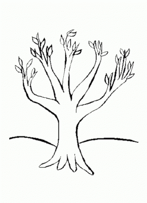 Free Tree Coloring Pages for Toddlers   4JGO1