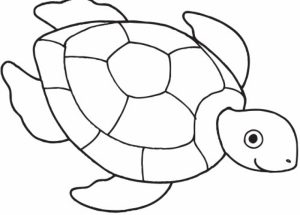 Free Turtle Coloring Pages for Toddlers   p97hr