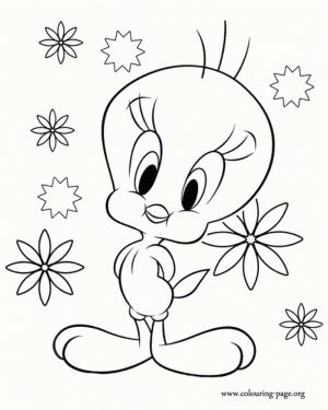 Free Tweety Bird Coloring Pages   4488