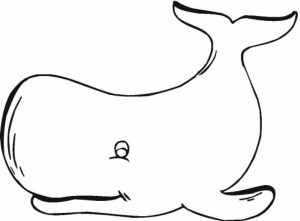 Free Whale Coloring Pages   4488