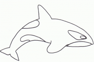 Free Whale Coloring Pages   92377