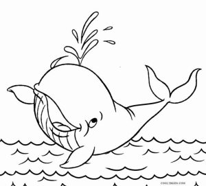 Free Whale Coloring Pages to Print   16629