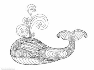 Free Whale Coloring Pages to Print   18251