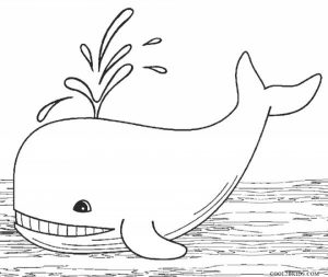 Free Whale Coloring Pages to Print   39122