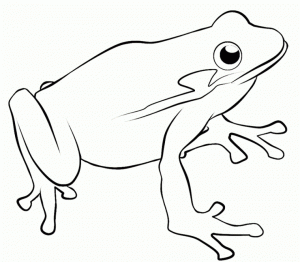 Frog Coloring Pages Printable for Kids   WY71R