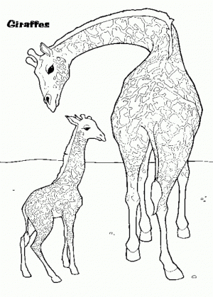 Giraffe Coloring Pages Free   94886
