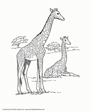 Giraffe Coloring Pages Free Printable   83102