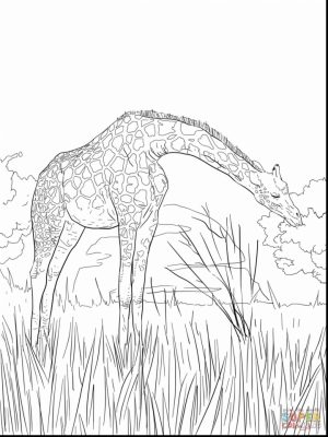 Giraffe Coloring Pages Hard Printables for Older Kids   41852