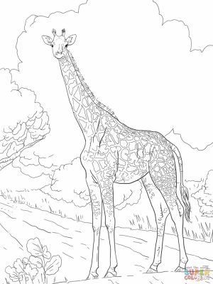 Giraffe Coloring Pages Hard Printables for Older Kids   41920