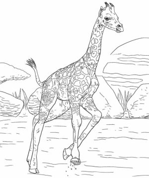 Giraffe Coloring Pages Hard Printables for Older Kids   46178