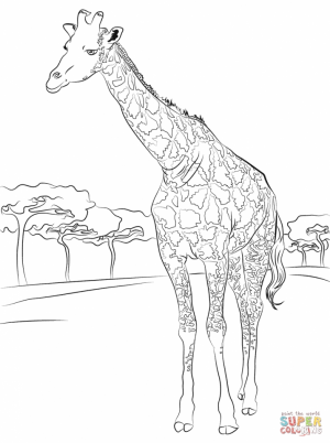 Giraffe Coloring Pages Hard Printables for Older Kids   64178