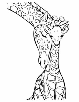 Giraffe Coloring Pages Realistic Animals   31794