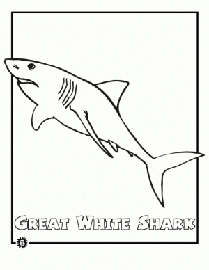Great White Shark Coloring Pages   61739