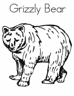 Grizzly Bear Coloring Pages   7gfg4