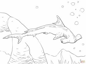 Hammerhead Shark Coloring Pages   33189