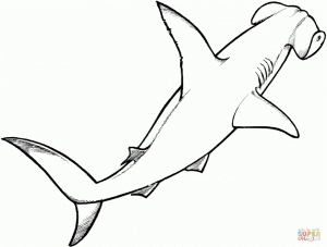 Hammerhead Shark Coloring Pages   77561