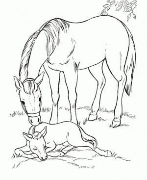 Horses Coloring Pages Free for Kids   6Ir1n