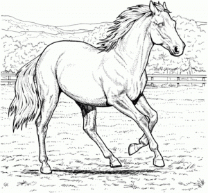 Horses Coloring Pages Printable for Kids   xi226