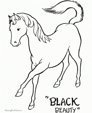 Horses Coloring Pages to Print for Kids   KIFps