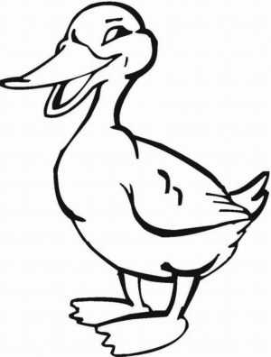 Image of Farm Animal Coloring Pages to Print for Kids   uan64