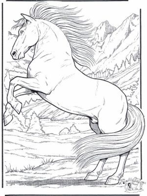 Image of Horses Coloring Pages to Print for Kids   EhR0n
