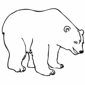 Image of Polar Bear Coloring Pages to Print for Kids   uan64