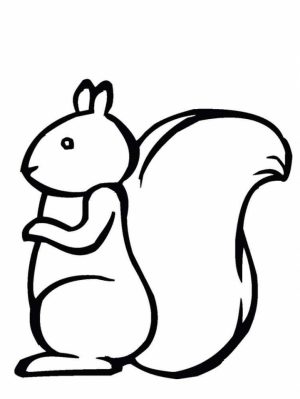 Image of Squirrel Coloring Pages to Print for Kids   uan64