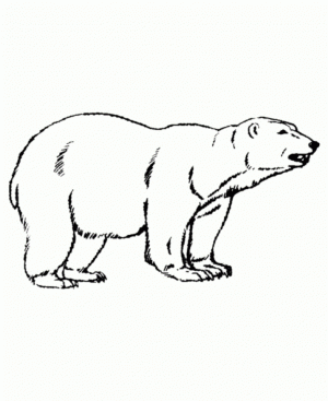 Kids’ Printable Polar Bear Coloring Pages   x4lk2