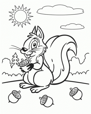 Kids’ Printable Squirrel Coloring Pages Free Online   p2s2s