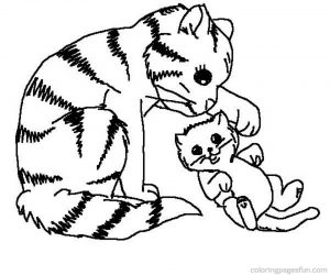 Kitten Coloring Pages Online   17492