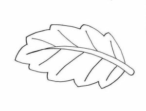 Leaf Coloring Pages Free to Print   63ac6