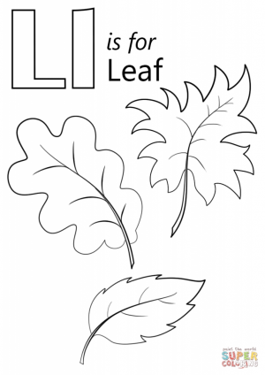 Leaf Coloring Pages Free to Print   8fg41