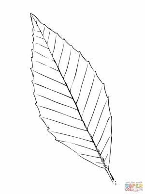 Leaf Coloring Pages Free to Print   97381